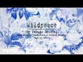 U2, Adeola & Jacknife Lee - Wildpeace (Lyric Video)