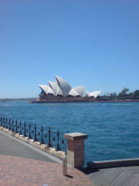 Travel day Brisbane - Sydney.