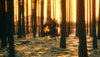 ’New Year’s Day’