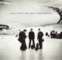 U2 Taking Over Irish Album Chart