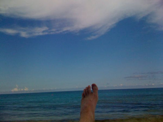 The Ocean