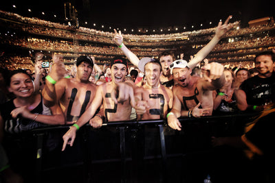 Fans in St. Louis