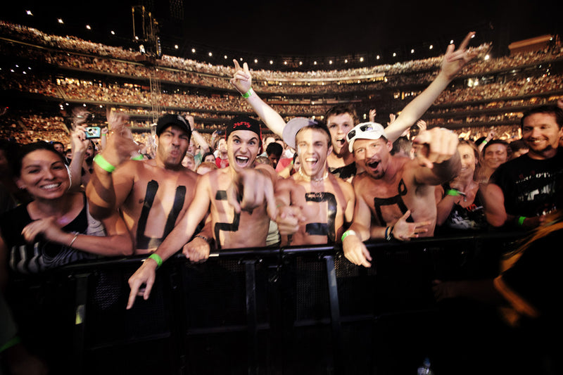 Fans in St. Louis