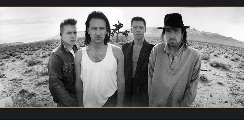 The Joshua Tree - Album Cover - Inner Sleeve