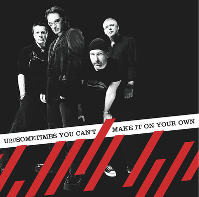 Sometimes You Can't Make It On Your Own - Single DVD Cover