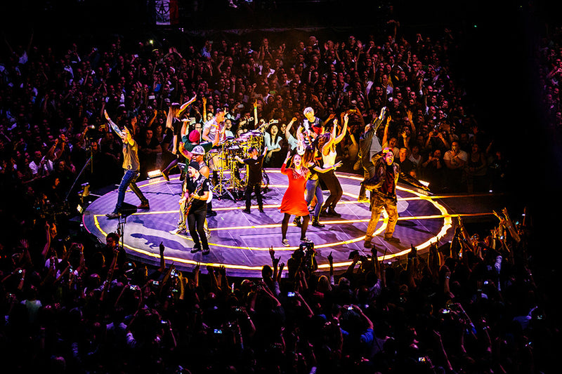 U2 iNNOCENCE + eXPERIENCE Live in Paris Fans
