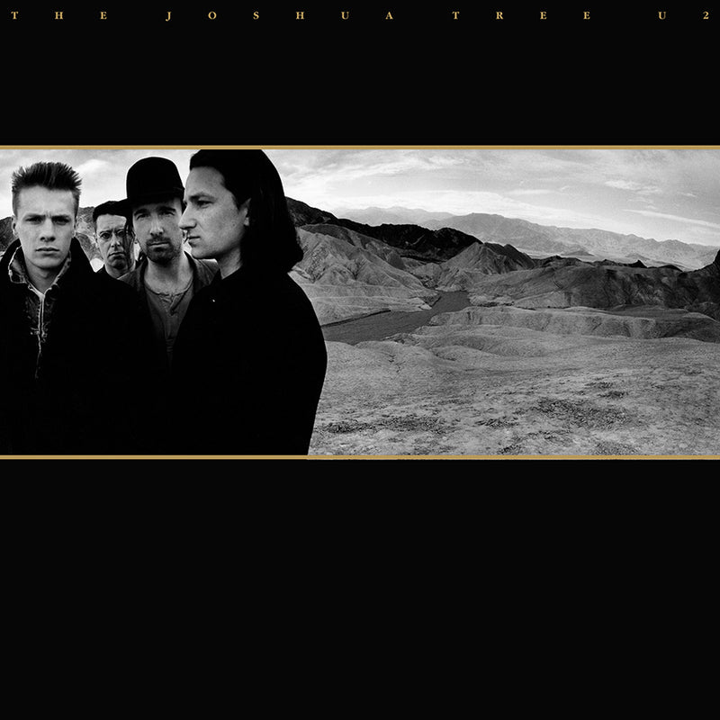 U2 The Joshua Tree Vinyl cover