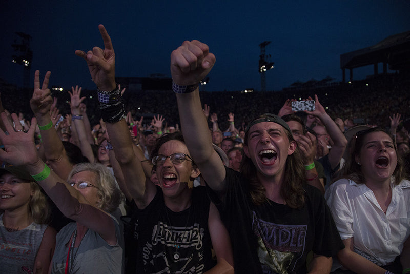 fans in Louisville
