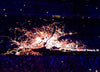 Newark at night