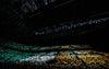 Copenhagen Audience