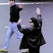The Fly (Achtung Baby)