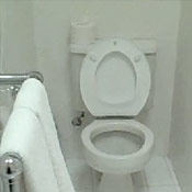 Toilet Break