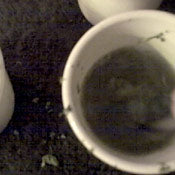 Green Tea