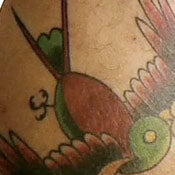 London - Crew Tattoos, The Swallow