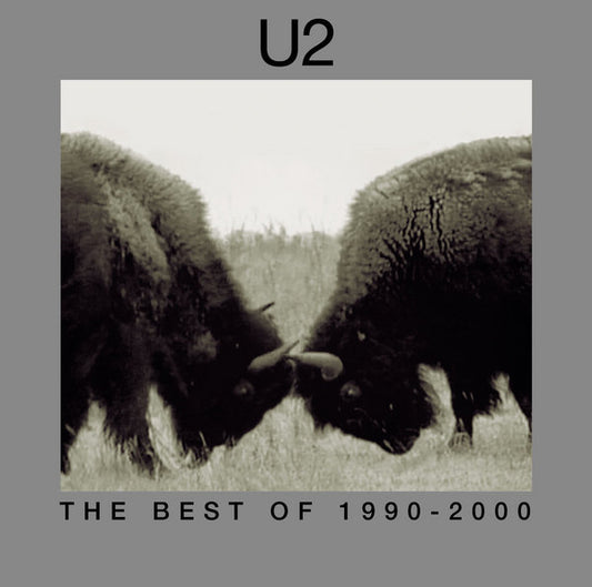 The Best Of 1990-2000 & B-sides
