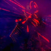 U2360° At The Rose Bowl DVD - Ultra Violet Clip